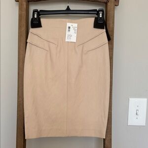Robert Rodriguez Classic Tan Pencil Leather Skirt